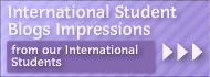 International Student Blogs Impressions from our International Students