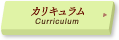 カリキュラム/Curriculum