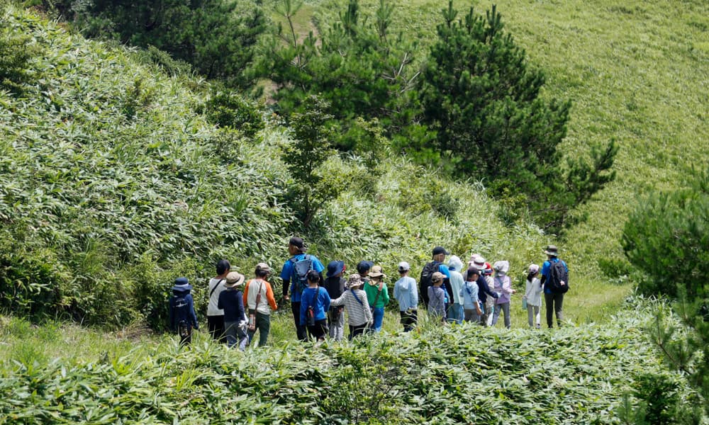 img20260601141151552426.jpg