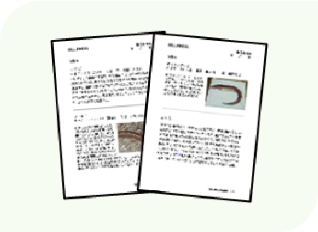 フィールドノート