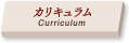 カリキュラム詳細/Curriculum