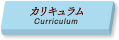 カリキュラム/Curriculum